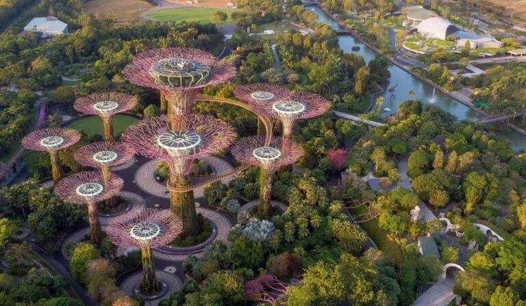 Singapur, la ciudad que venció al calor gracias a la sombra