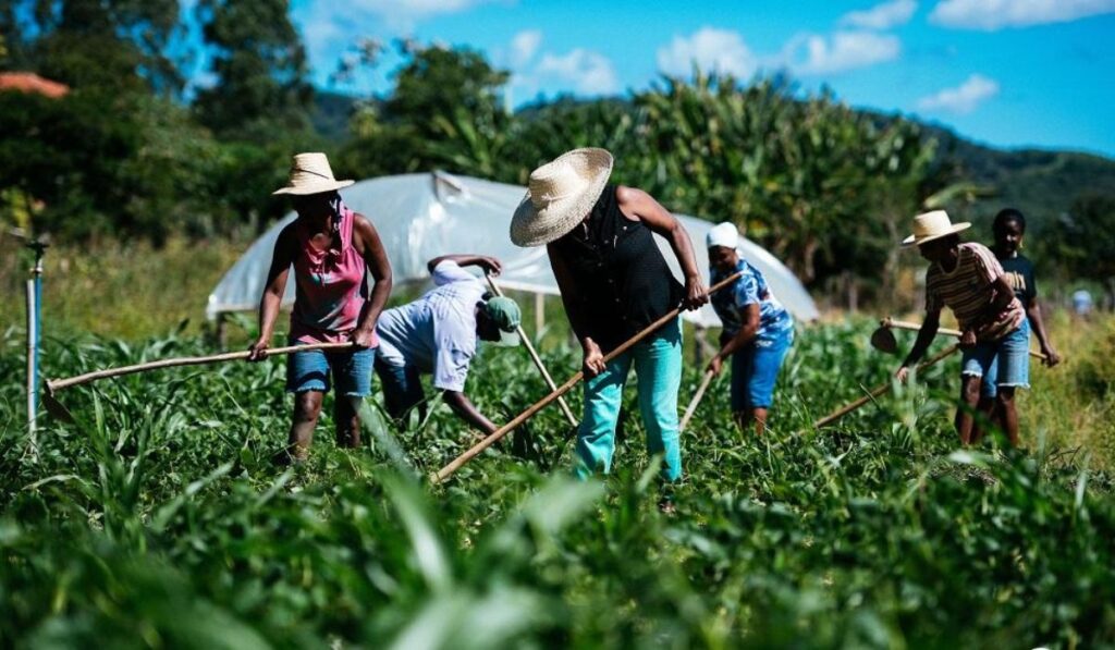Tres cambios urgentes en la forma de producir alimentos para salvar el planeta