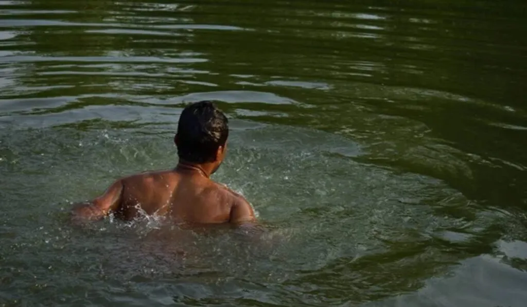 Cambio climático y bacterias “carnívoras”: un peligro que crece en aguas cada vez más cálidas