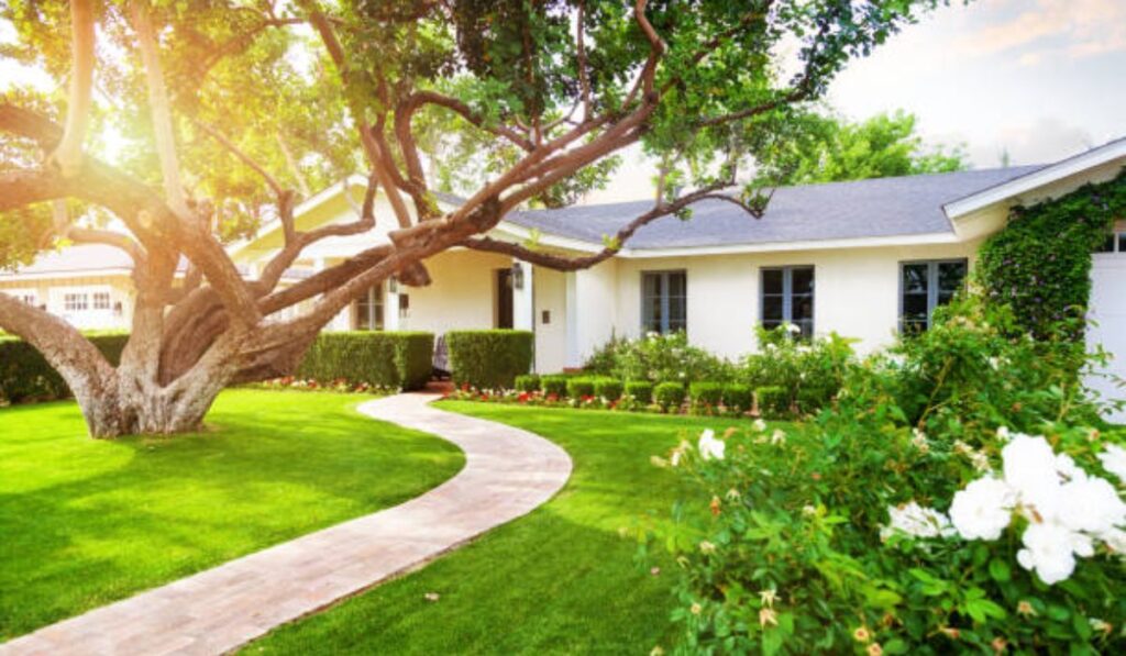 El “efecto lujo”: cuando vivir en un barrio caro también significa tener más naturaleza