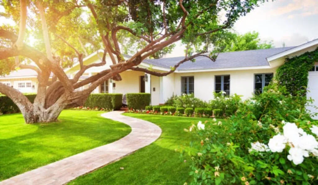 El “efecto lujo”: cuando vivir en un barrio caro también significa tener más naturaleza