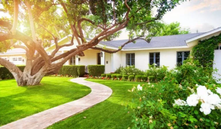 El “efecto lujo”: cuando vivir en un barrio caro también significa tener más naturaleza