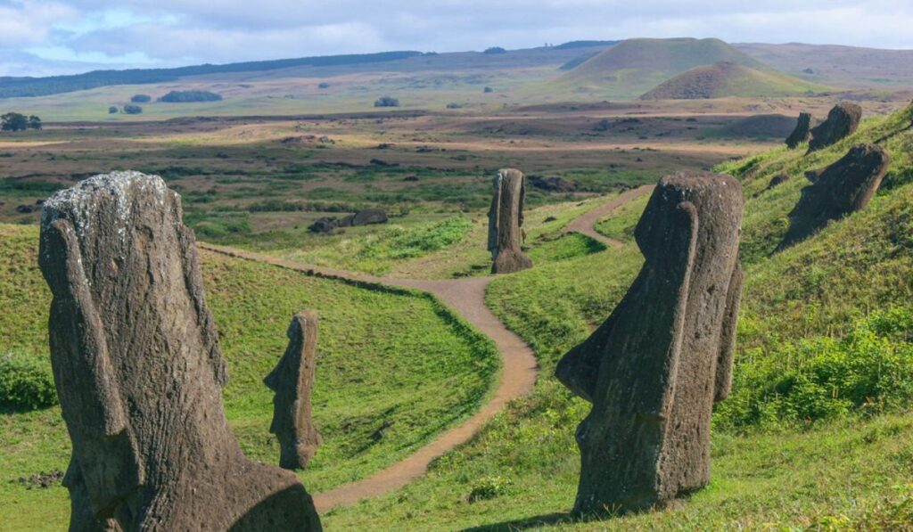 Las ratas, no los humanos, podrían haber destruido los bosques de Isla de Pascua