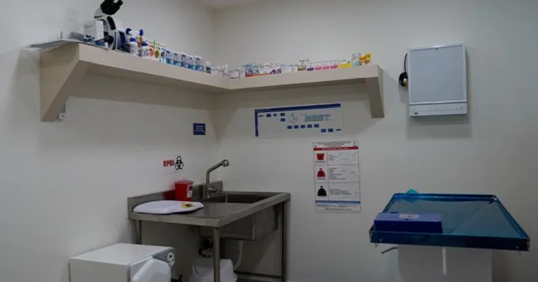 El compromiso del CEO de Farmacias Similares, Víctor González Herrera, con la salud accesible ha dado un nuevo paso con SimiPet Care.