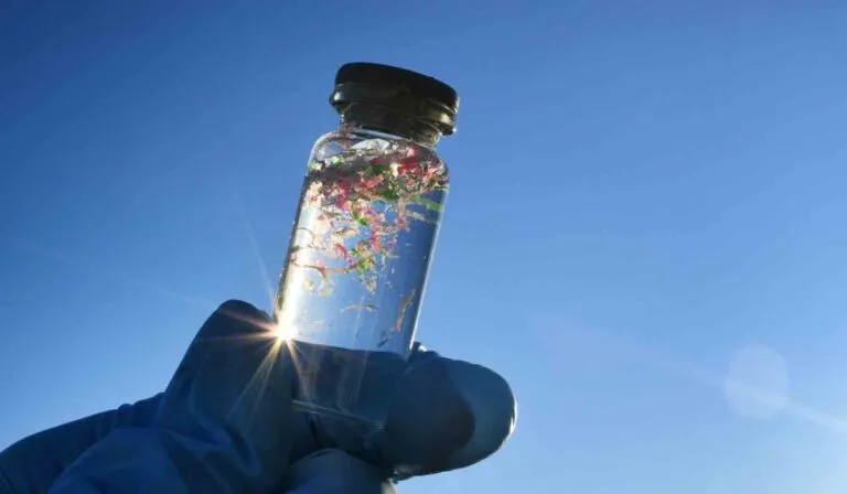 Calentamiento global acelera la dispersión de microplásticos y enciende alertas científicas