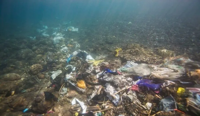 Científicos piden un sistema global para frenar la acumulación de basura en el fondo del mar