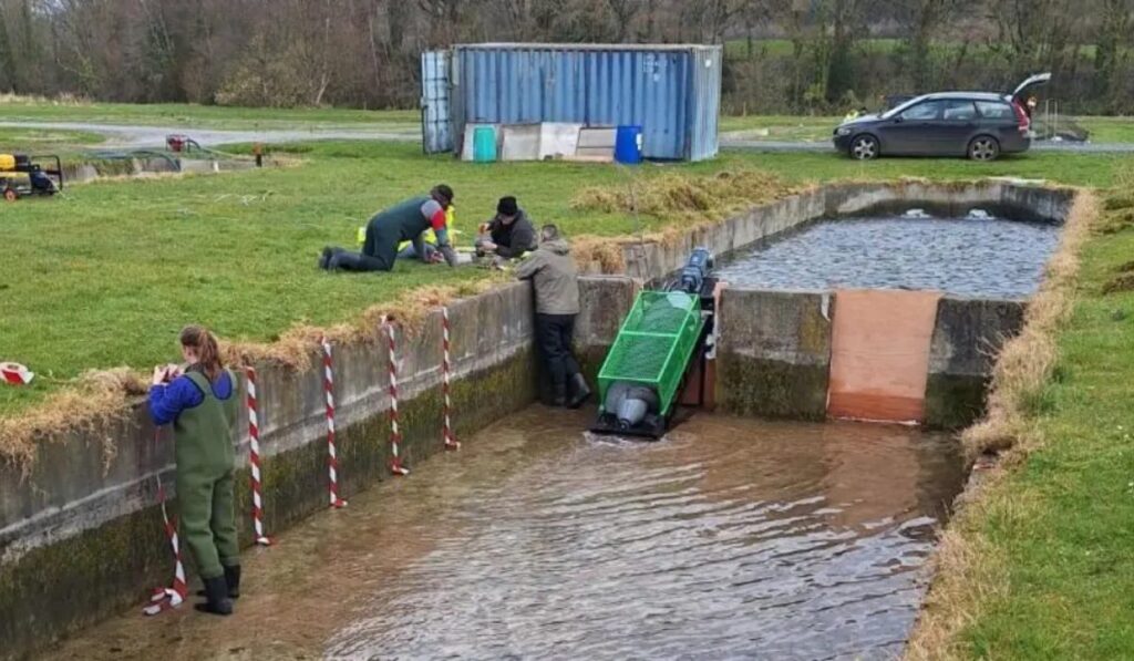 Energía limpia sin dañar a los peces: el invento que podría transformar las presas para siempre