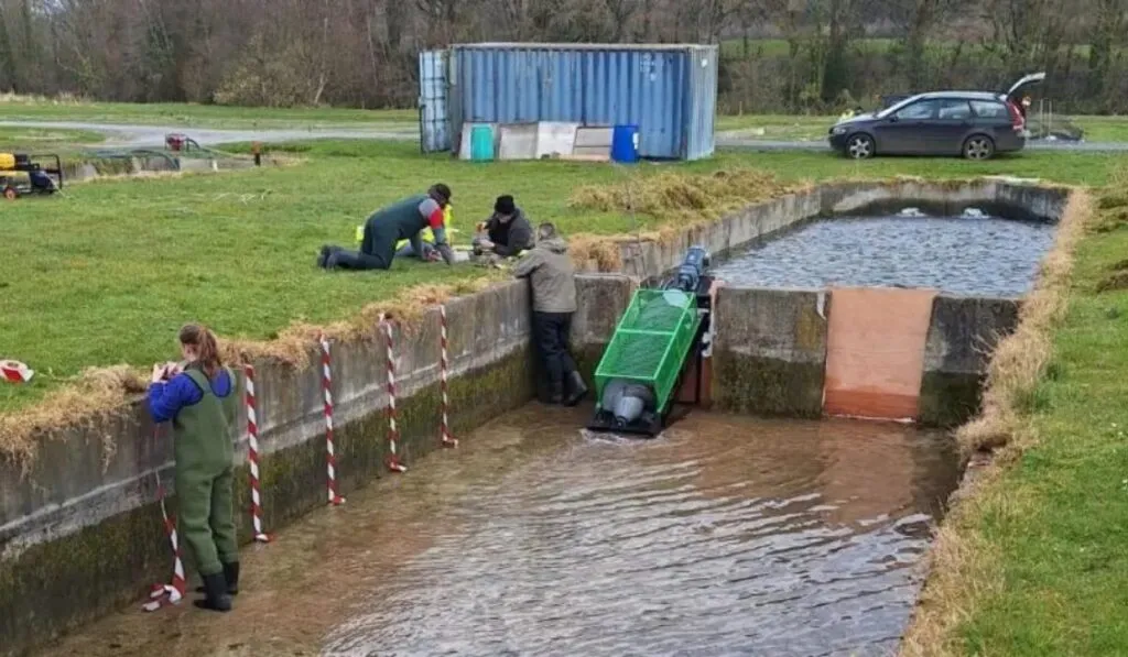 Energía limpia sin dañar a los peces: el invento que podría transformar las presas para siempre