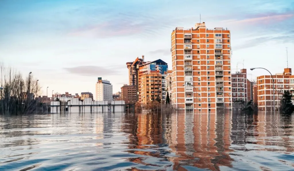 La gran pregunta del siglo: ¿cuándo subirán los océanos? La Antártida tiene la clave