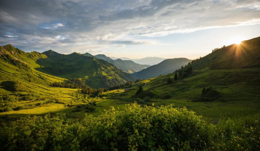 Montañas en alerta: cómo el cambio climático y la actividad humana están transformando estos ecosistemas