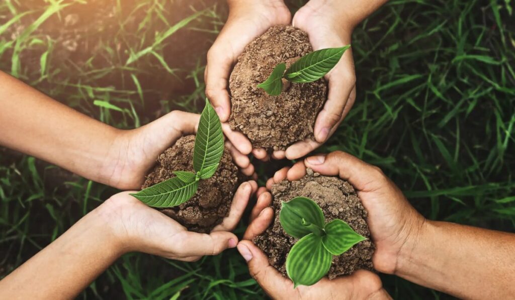 Seis buenas noticias para el planeta en 2025: avances ambientales que dan esperanza