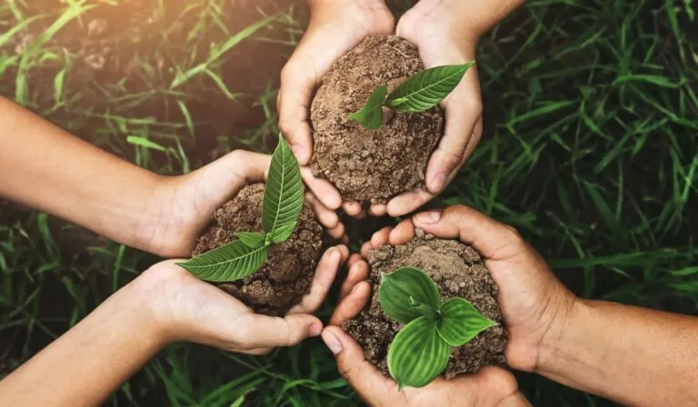 Seis buenas noticias para el planeta en 2025: avances ambientales que dan esperanza