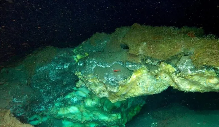 Descubren en el Ártico un ecosistema oculto de “hielo inflamable” que alberga vida extrema