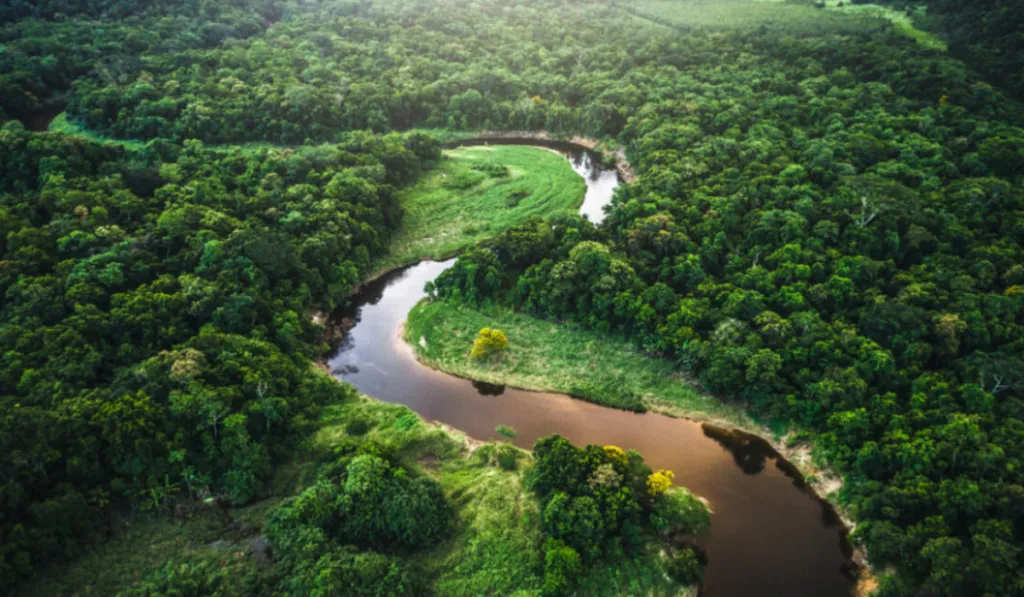 Alerta científica en la Amazonía: el clima “hipertropical” amenaza el futuro de la selva