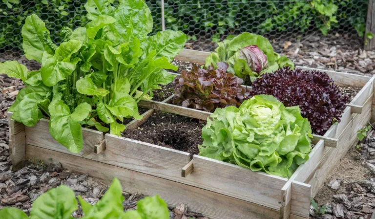 Calendario de siembra 2026: qué sembrar cada mes y cómo cuidar tu huerto todo el año