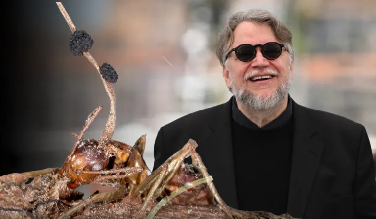 Descubren en Jalisco un “hongo zombi” y lo nombran en honor a Guillermo del Toro