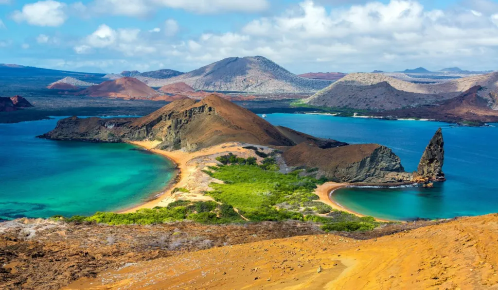 Floreana contra reloj: el ambicioso plan para devolverle la vida a una isla de Galápagos