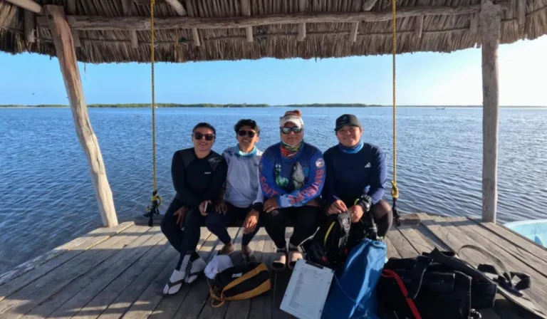 Guardianas del Mar: mujeres de Yucatán que protegen el manglar y la vida marina