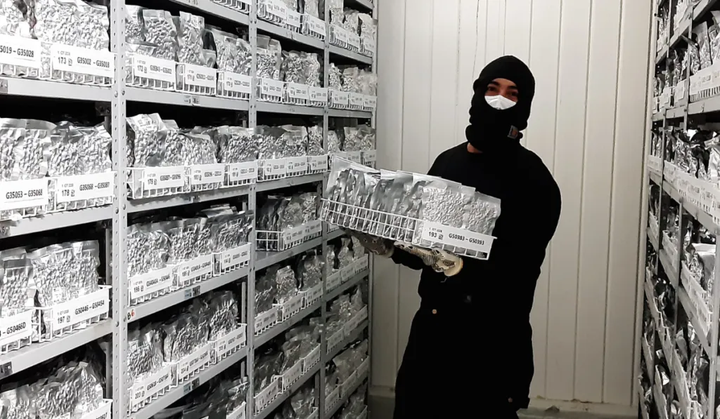 Guardianes verdes del planeta: así protegen los bancos de semillas el futuro de las plantas