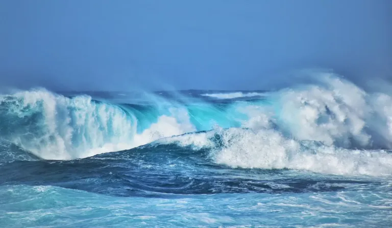Los océanos rompen récord de calor en 2025 y agravan los eventos climáticos extremos