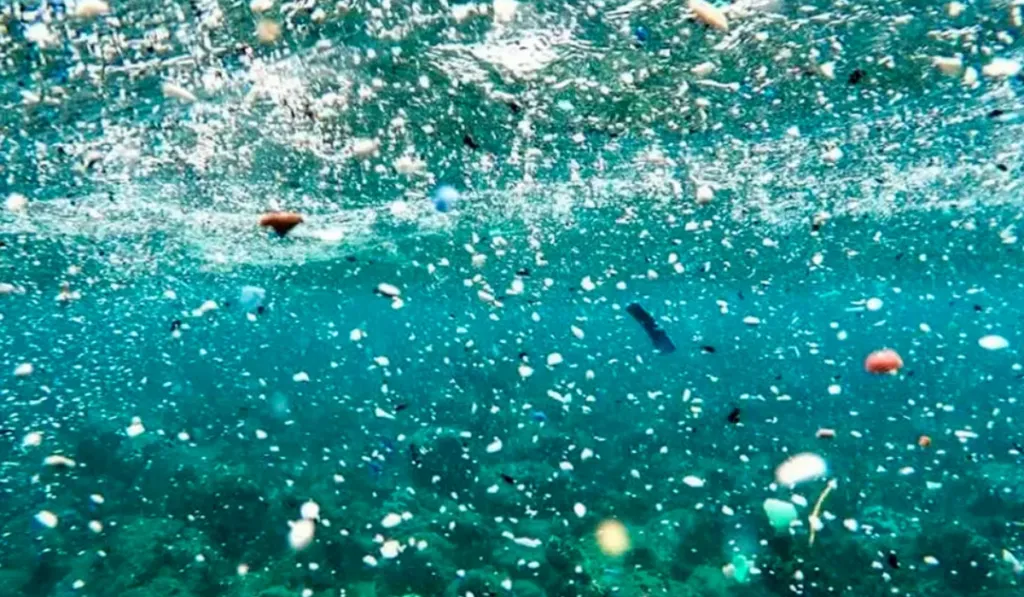 Nanoplásticos en el agua potable: el aliado invisible de bacterias y virus resistentes