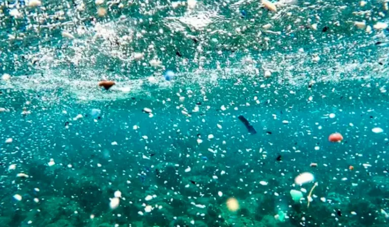 Nanoplásticos en el agua potable: el aliado invisible de bacterias y virus resistentes