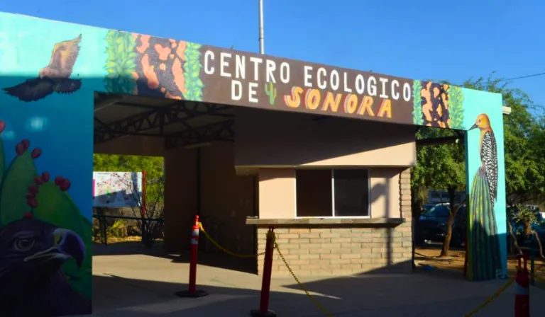 Reactivarán el acuario del Centro Ecológico de Sonora con inversión de 5 mdp