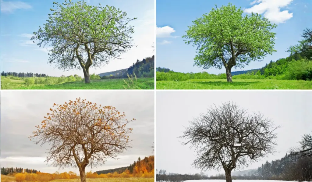 ¿Vivimos en un universo que se “optimiza” como un ordenador? La gravedad reabre el debate