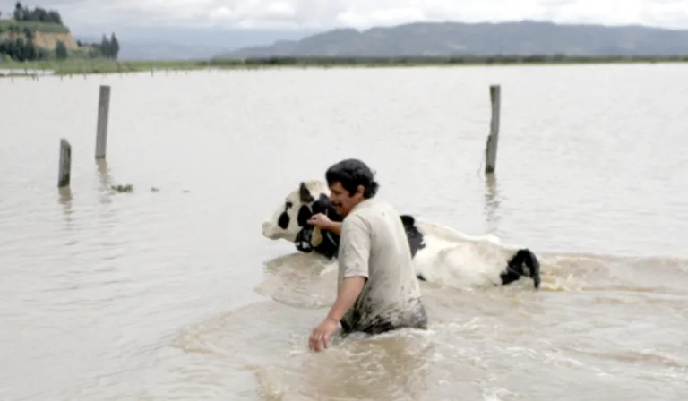 Frente frío golpea a Colombia: lluvias dejan 14 muertos y miles de familias damnificadas