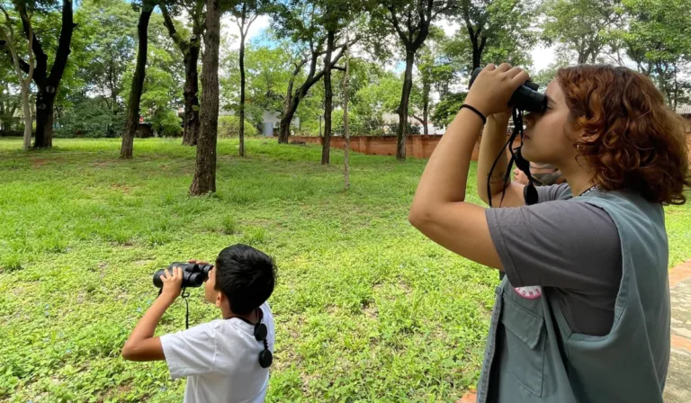 Observar aves, ejercitar el cerebro: el hábito que podría fortalecer la mente con los años