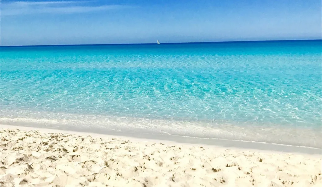 Playas contra el cemento: municipios que dejan actuar a la naturaleza para frenar la erosión