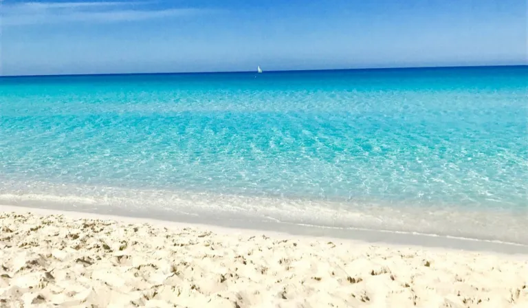 Playas contra el cemento: municipios que dejan actuar a la naturaleza para frenar la erosión