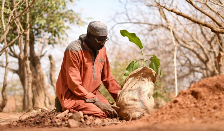 Yakuba Sawadogo: El hombre que frenó al desierto y lo convirtió en un bosque