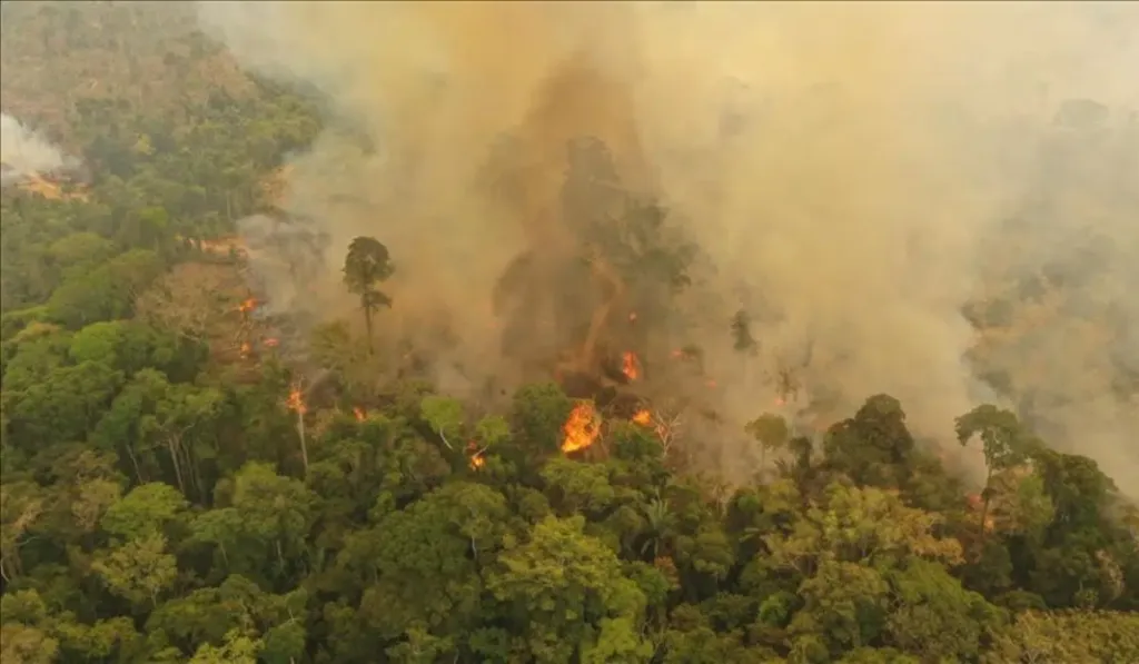 Amazonía en alerta: incendios liberan hasta tres veces más carbono de lo previsto