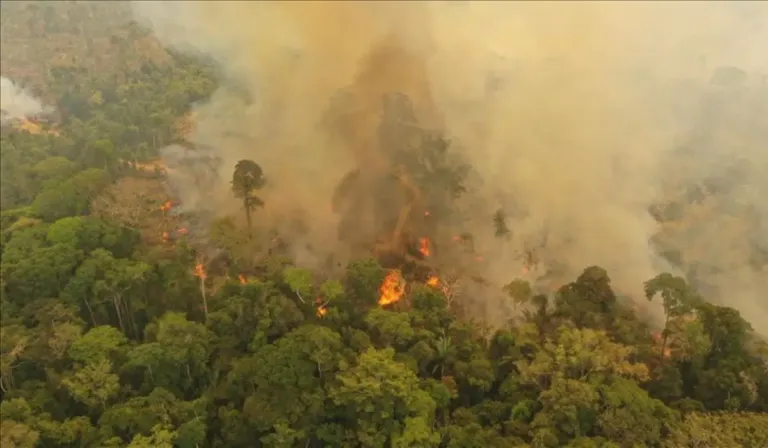 Amazonía en alerta: incendios liberan hasta tres veces más carbono de lo previsto