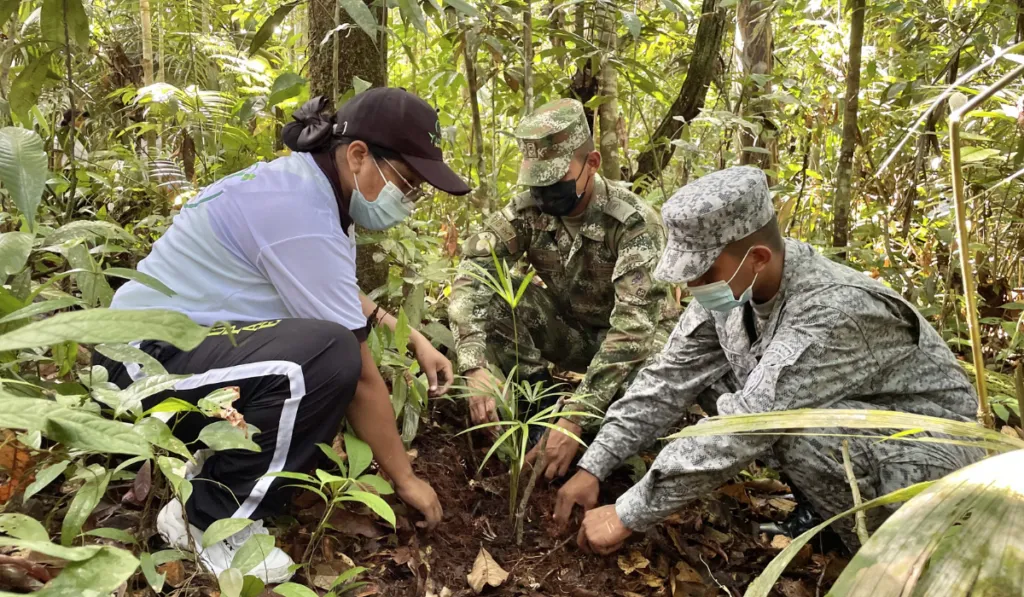 Brasil apuesta por el futuro: arranca la primera concesión para reforestar el Amazonas