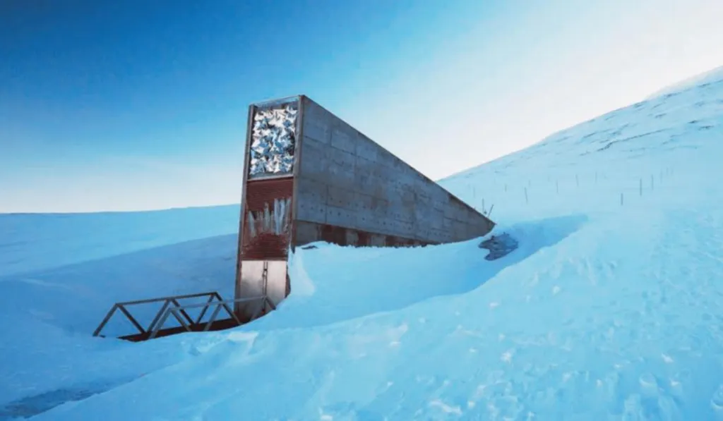 El arca del fin del mundo resguarda semillas de olivo para proteger el futuro del cultivo