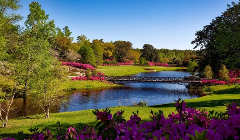 Estados Unidos enfrenta clima extremo: ola de calor histórica en el oeste y frío invernal en el este