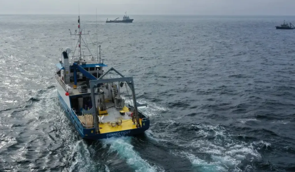 Geoingeniería en el océano: el experimento que encendió las alarmas globales