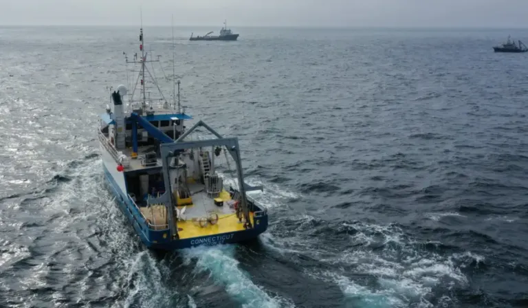 Geoingeniería en el océano: el experimento que encendió las alarmas globales