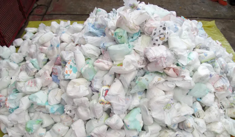 Hongos y reciclaje: la innovadora solución que podría cambiar el destino de los pañales