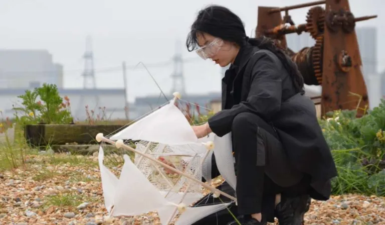 Una bola que siembra vida: el invento que usa el viento para recuperar desiertos