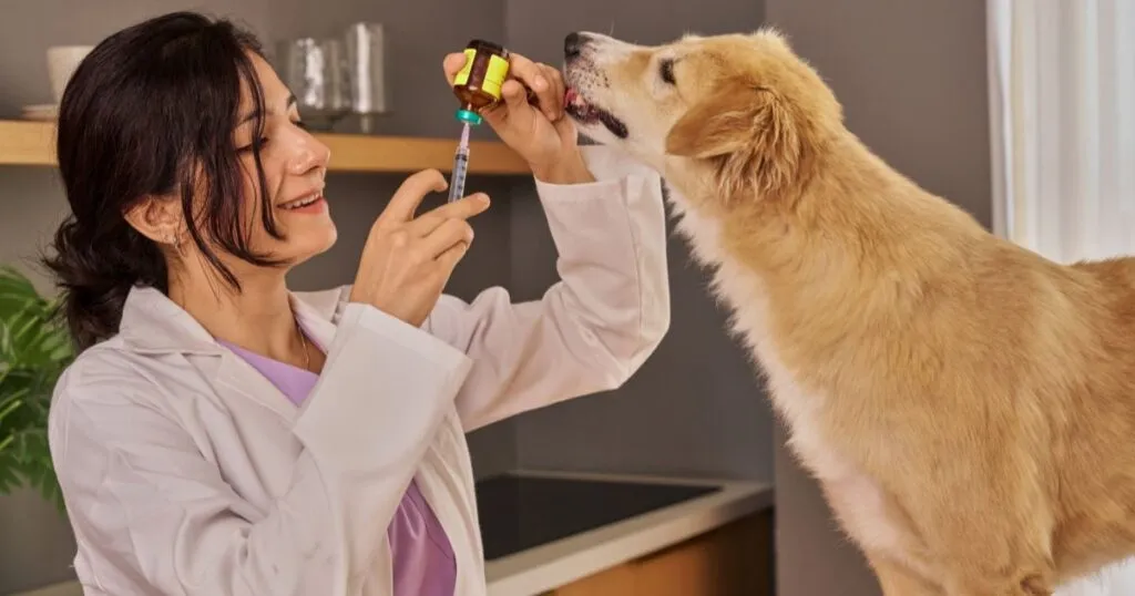Veterinarios analizan Protecto Max como repelente.