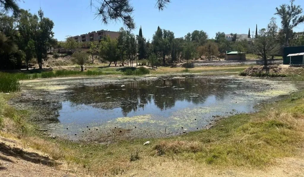 Al borde de desaparecer: el lago de Chapalita se seca y alarma a vecinos en León
