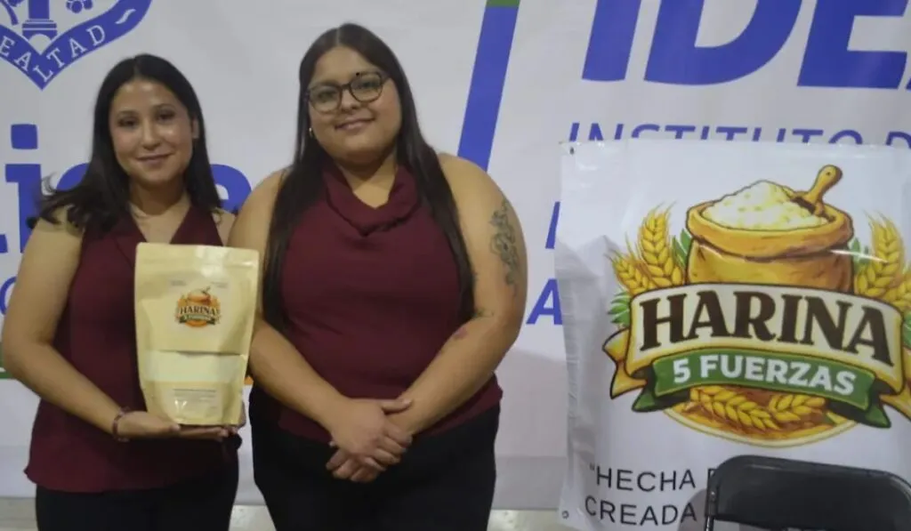 De la cáscara al plato: crean harina de calabaza que podría cambiar la forma de comer