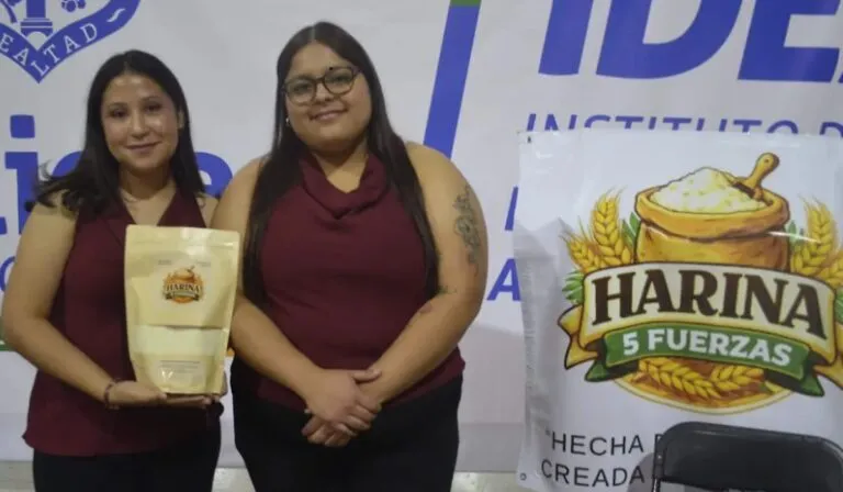 De la cáscara al plato: crean harina de calabaza que podría cambiar la forma de comer