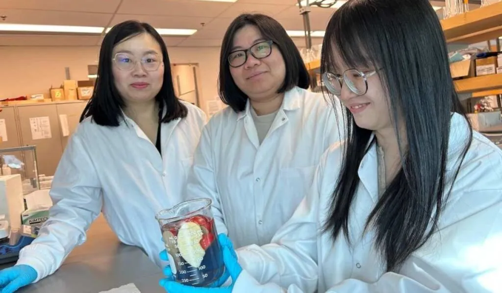 Adiós a los pesticidas: el nuevo lavado natural que también alarga la vida de tus frutas