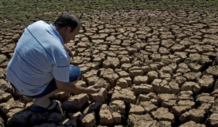 El clima se vuelve extremo: sequías y olas de calor podrían multiplicarse por cinco