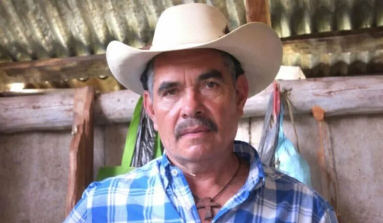 Matan a Roberto Chávez: el ambientalista que denunció la tala ilegal en Michoacán