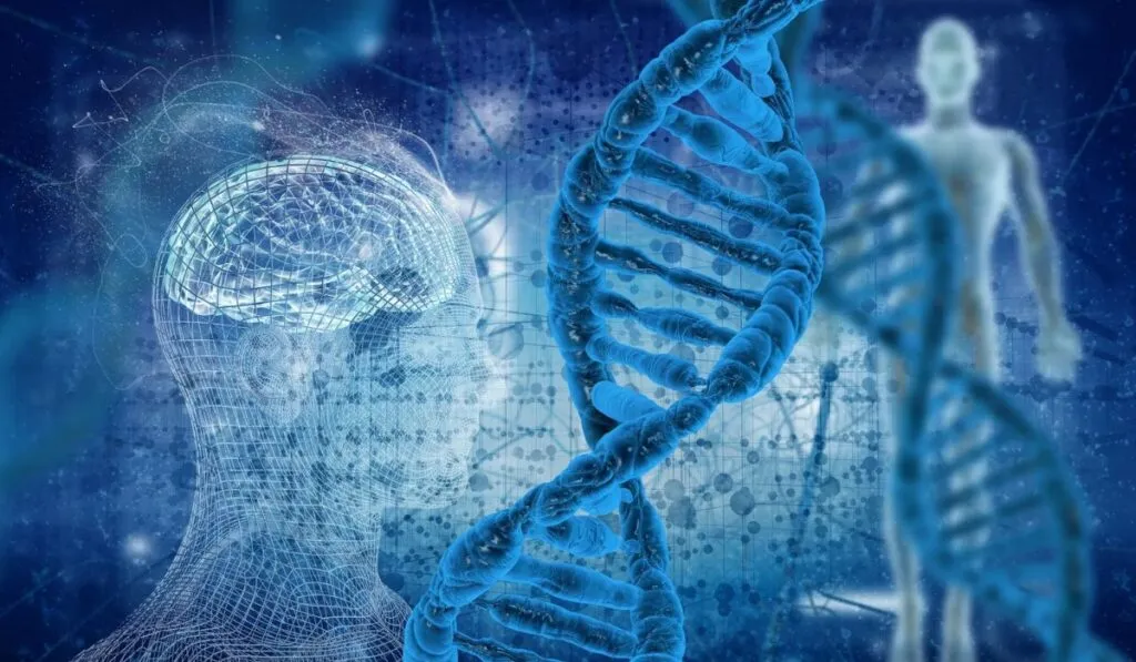 El cambio climático está acelerando la evolución… y podría jugar en contra de los humanos